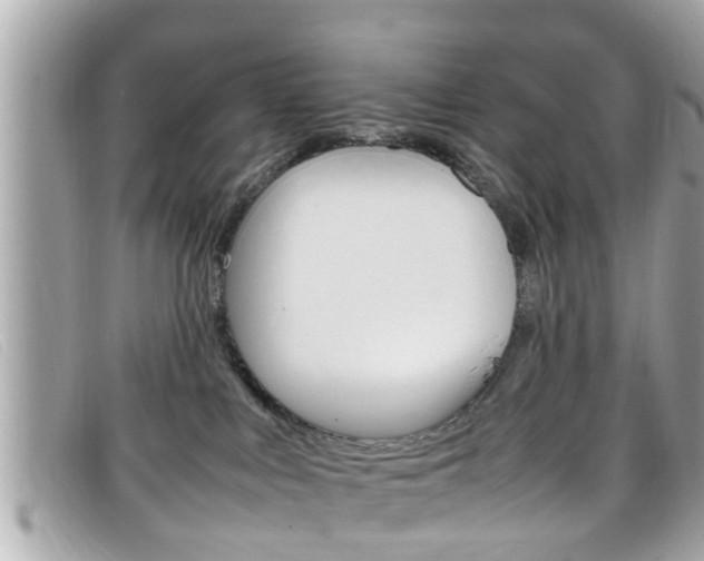 X0000099310043200805020741