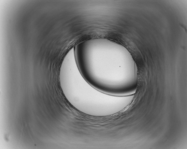 X0000099310045200805020741