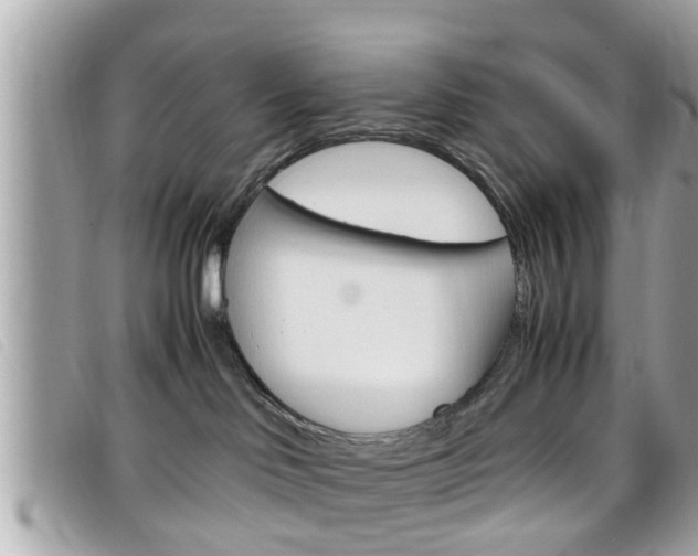 X0000099310046200805020741