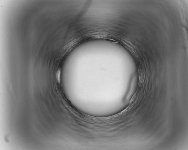 X0000099310047200805020741