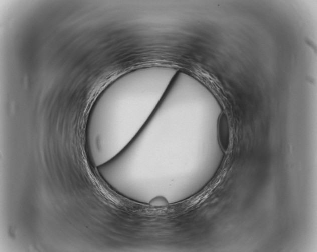 X0000099310049200805020740
