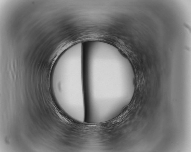 X0000099310050200805020740