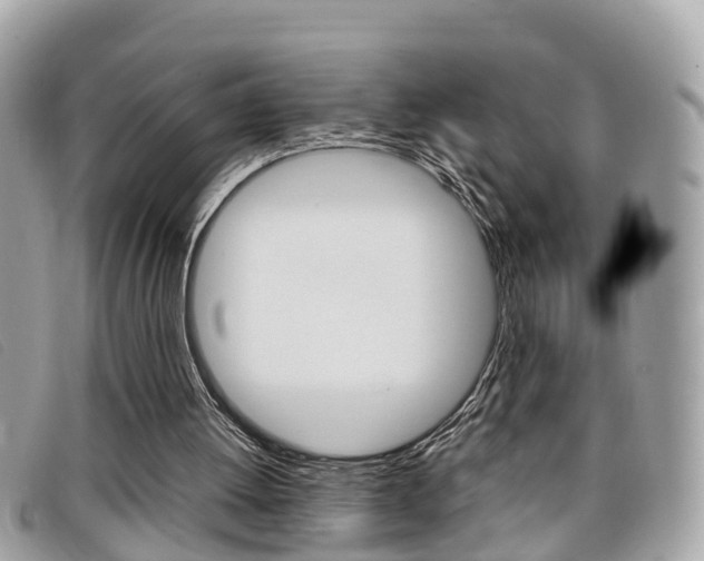 X0000099310052200805020740