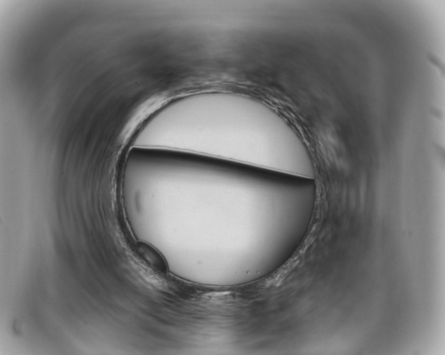 X0000099310054200805020740