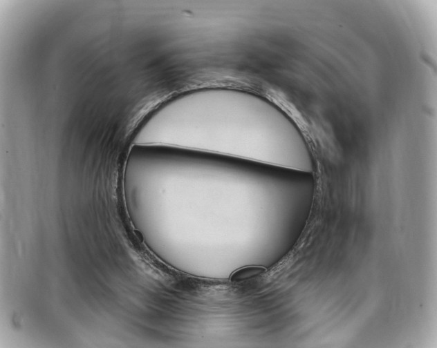 X0000099310058200805020740