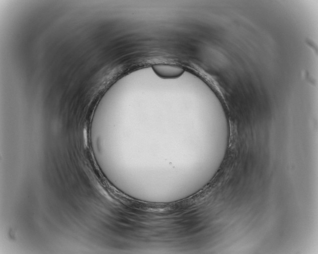 X0000099310061200805020741