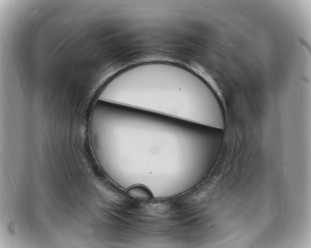 X0000099310063200805020741
