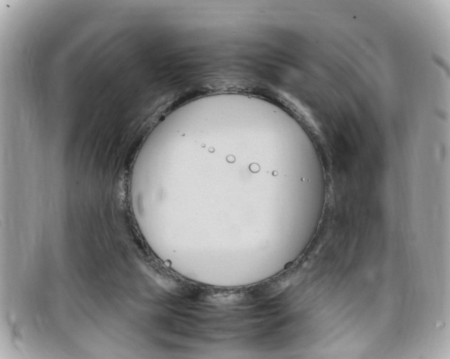 X0000099310065200805020741