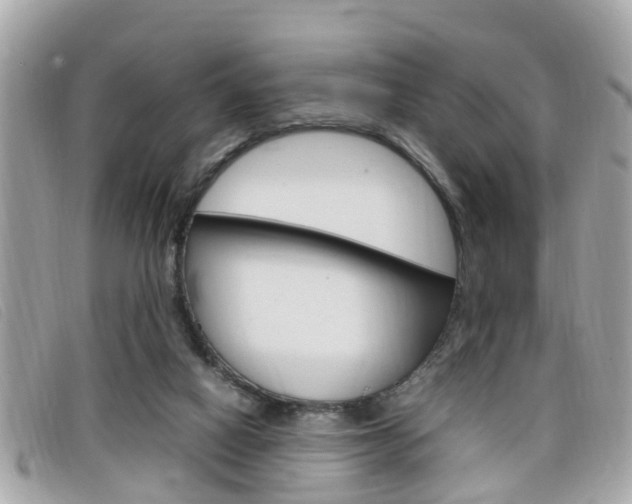 X0000099310066200805020741