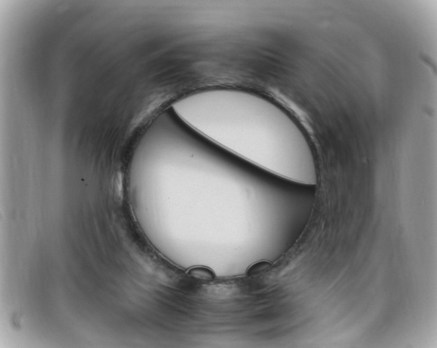 X0000099310067200805020741