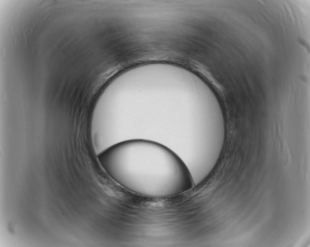 X0000099310068200805020741