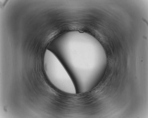 X0000099310071200805020741