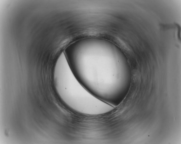 X0000099310072200805020741