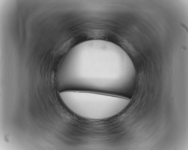 X0000099310073200805020741