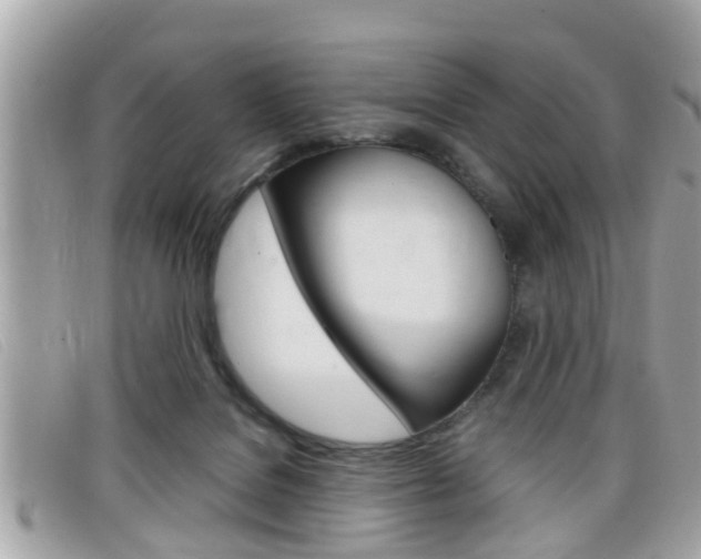 X0000099310076200805020741