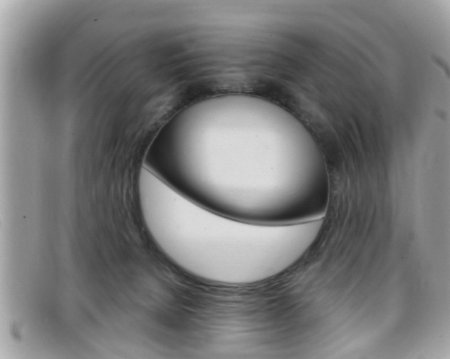 X0000099310080200805020741