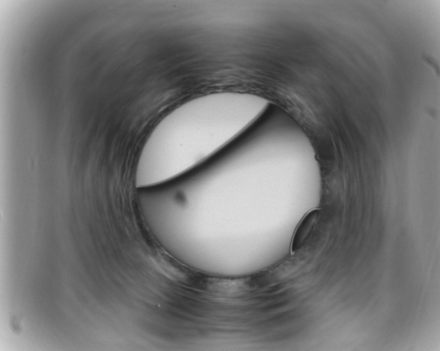 X0000099310081200805020741