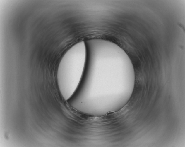 X0000099310082200805020741