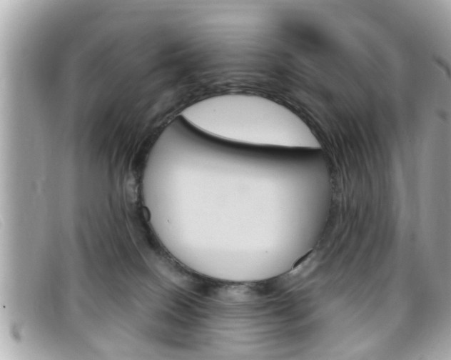 X0000099310086200805020741