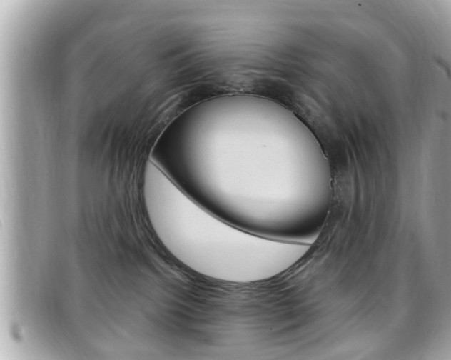 X0000099310092200805020741