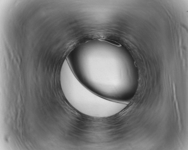 X0000099310096200805020741