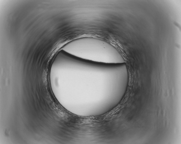 X0000099310098200805020740