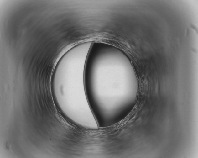 X0000099310100200805020740