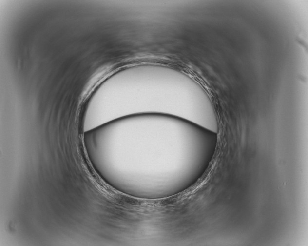 X0000099310101200805020740