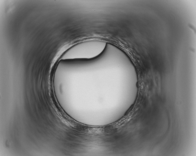 X0000099310102200805020740