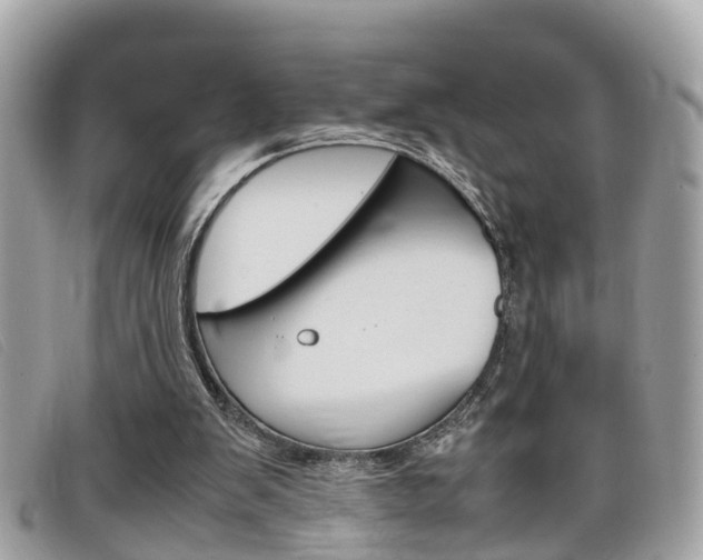 X0000099310103200805020740