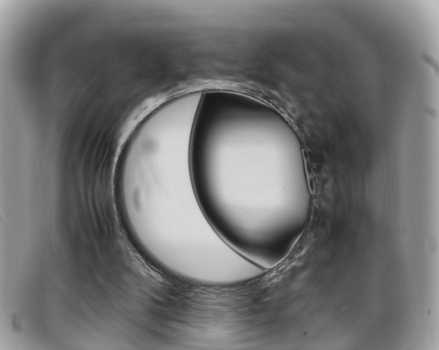 X0000099310104200805020740