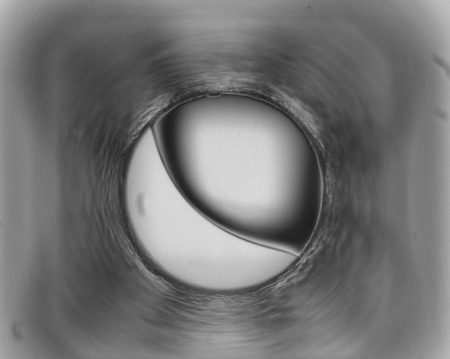 X0000099310105200805020740