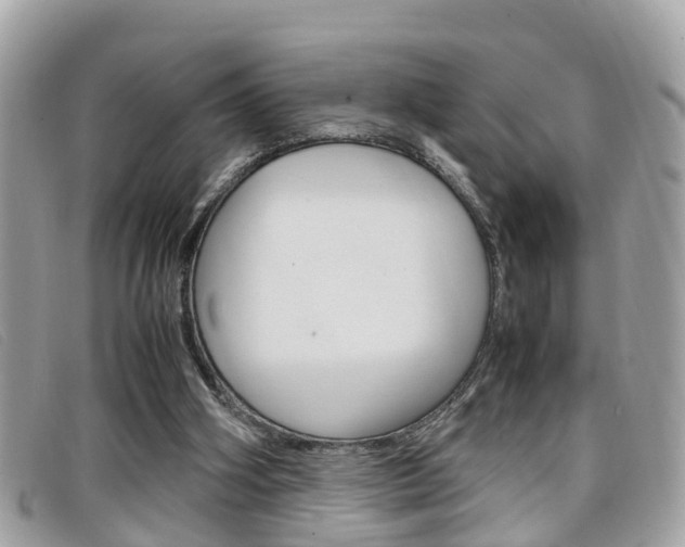 X0000099310106200805020740