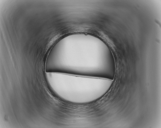 X0000099310107200805020740