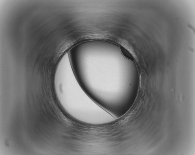 X0000099310109200805020740