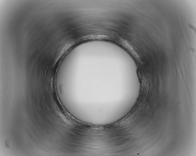 X0000099310110200805020740