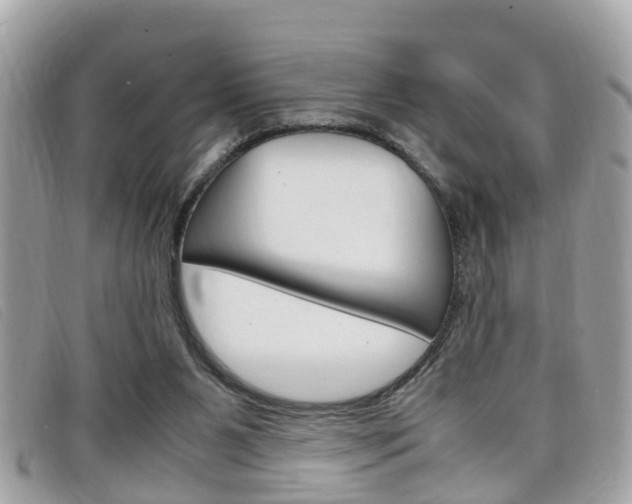 X0000099310111200805020740