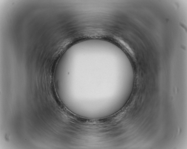 X0000099310113200805020740