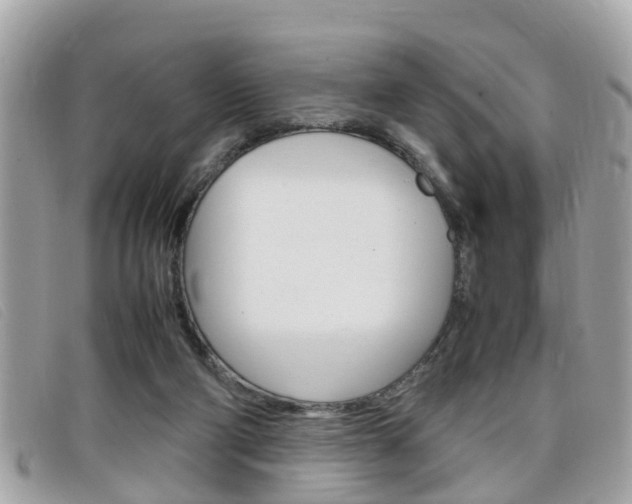 X0000099310114200805020740
