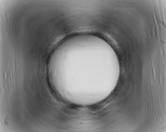 X0000099310115200805020740