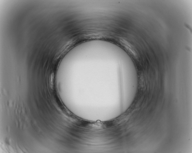 X0000099310118200805020740