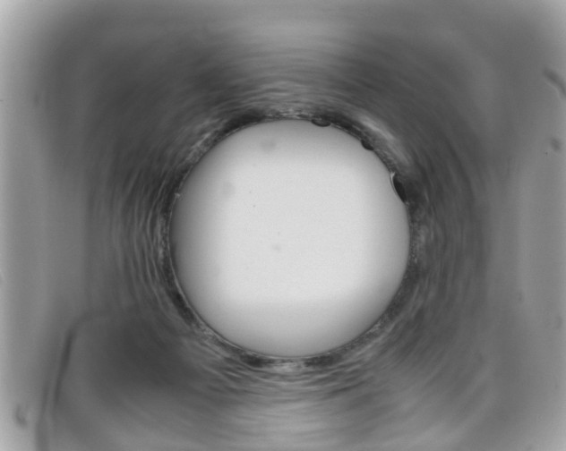 X0000099310121200805020740