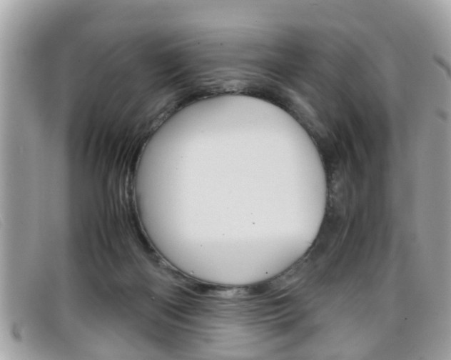 X0000099310122200805020740