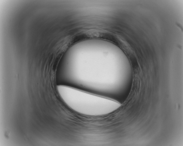 X0000099310125200805020740