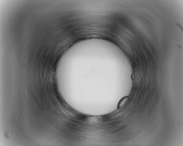 X0000099310126200805020740
