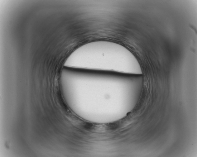 X0000099310127200805020740