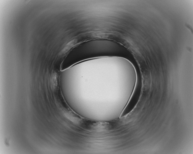 X0000099310128200805020740