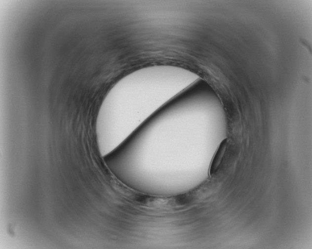 X0000099310129200805020740