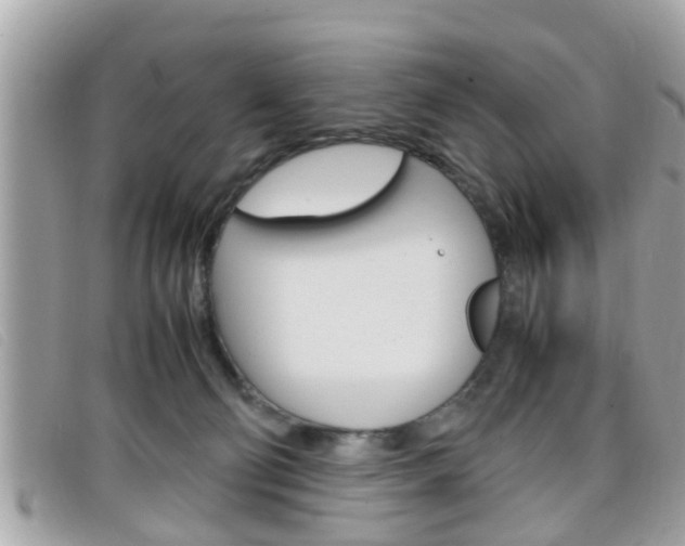 X0000099310130200805020740