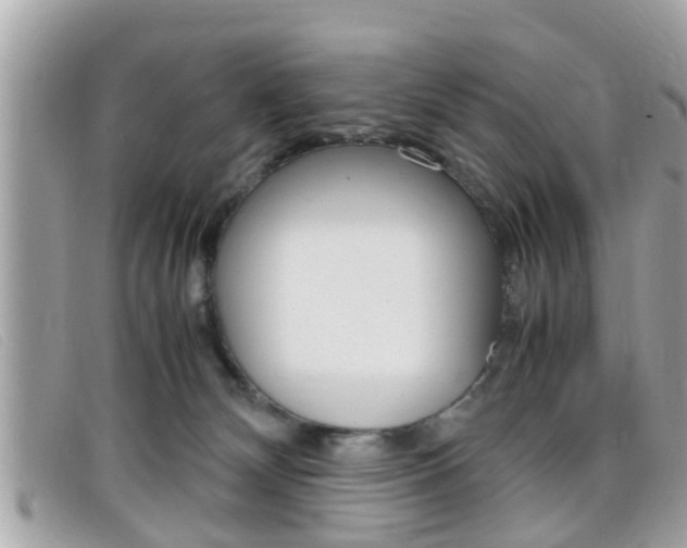X0000099310132200805020740